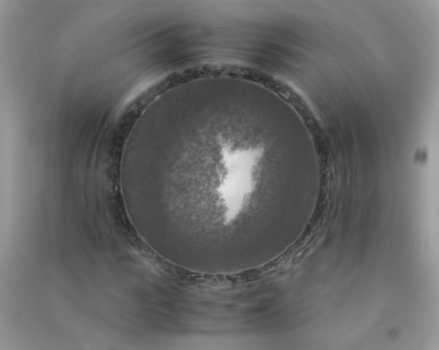 X0000091010919200708161955