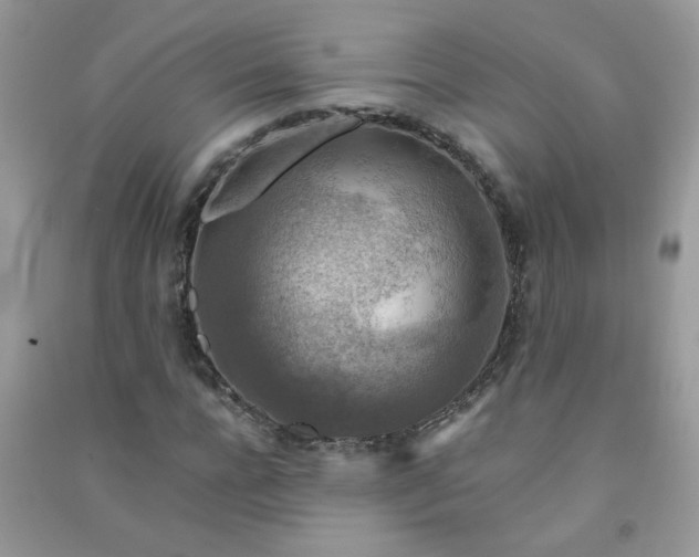 X0000091010920200708161955