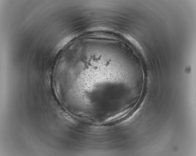 X0000091010921200708161955