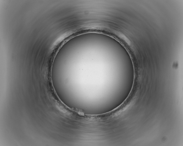 X0000091010922200708161955