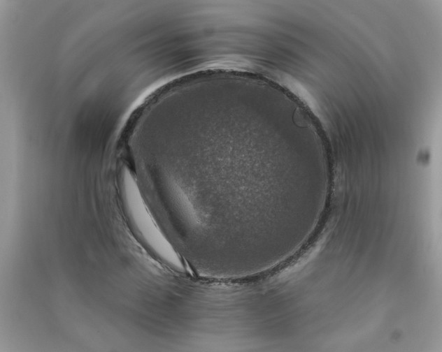 X0000091010923200708161955