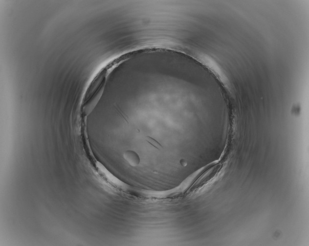 X0000091010924200708161955