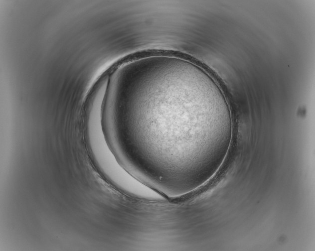 X0000091010926200708161955