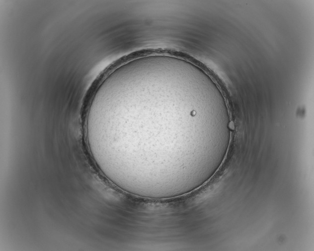 X0000091010927200708161955