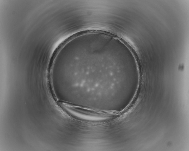 X0000091010928200708161955