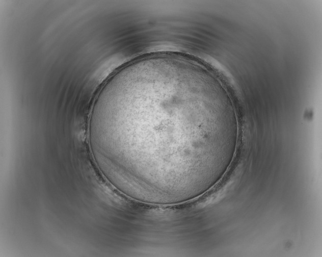 X0000091010929200708161955