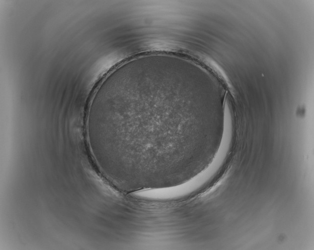 X0000091010930200708161955