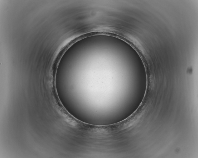 X0000091010931200708161955