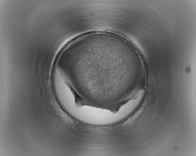 X0000091010932200708161955