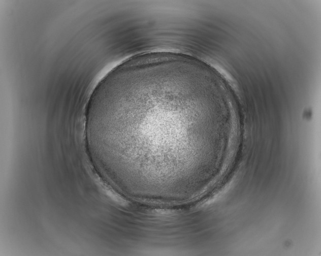 X0000091010933200708161955