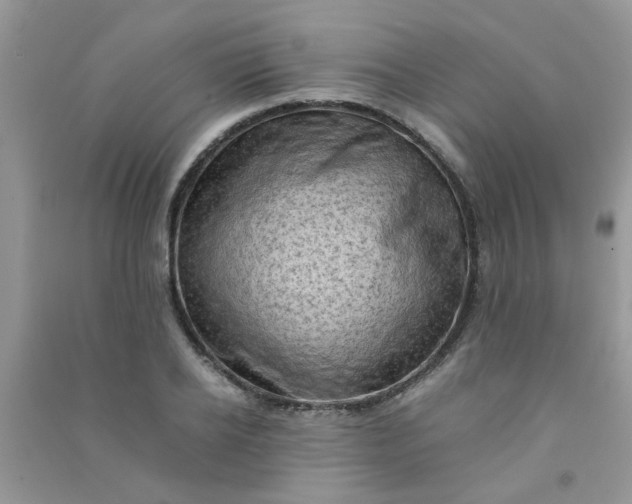 X0000091010934200708161955