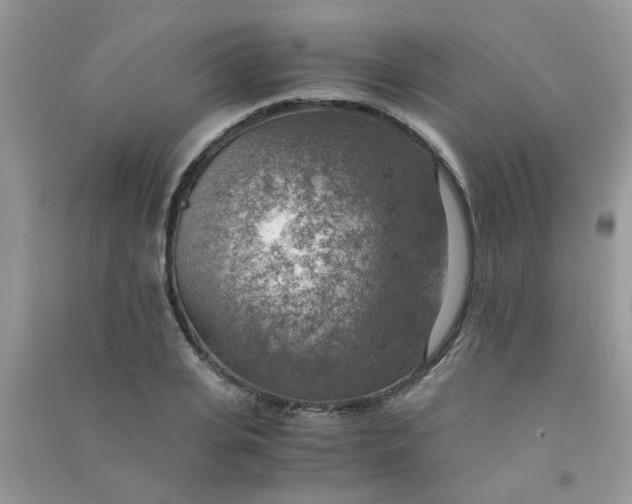 X0000091010935200708161955