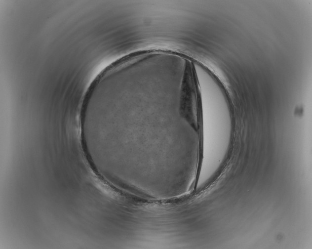 X0000091010936200708161955