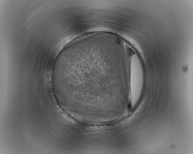 X0000091010937200708161955