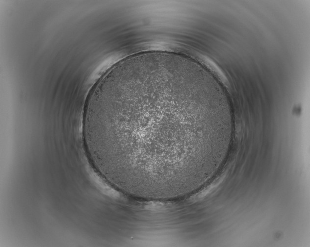 X0000091010938200708161955