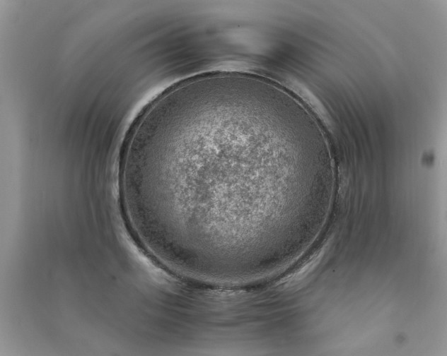 X0000091010939200708161955