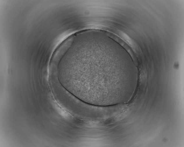 X0000091010940200708161955