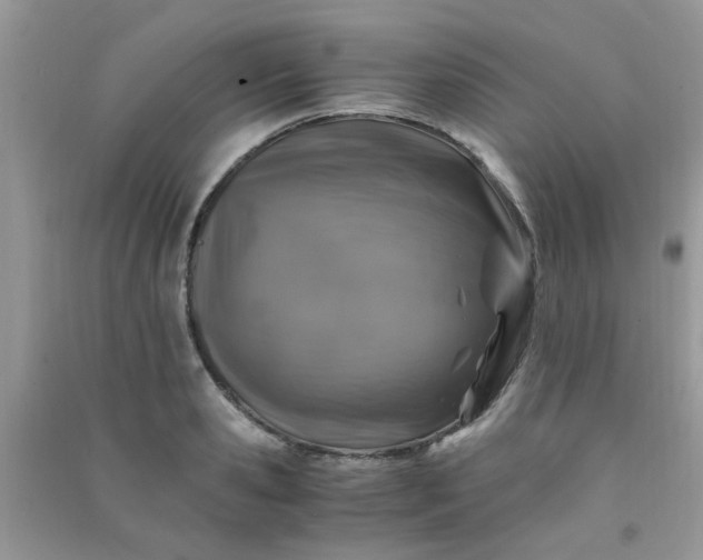 X0000091010941200708161955