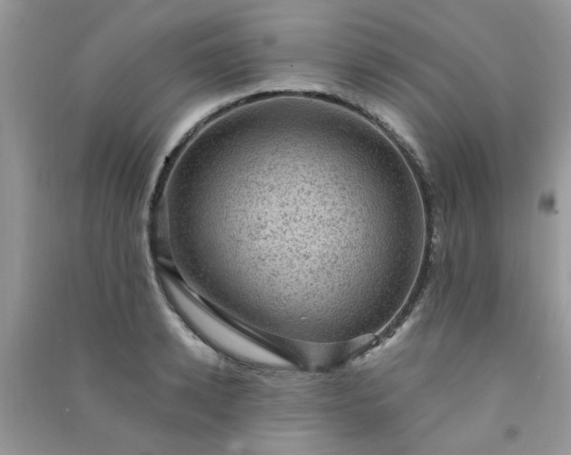 X0000091010942200708161955