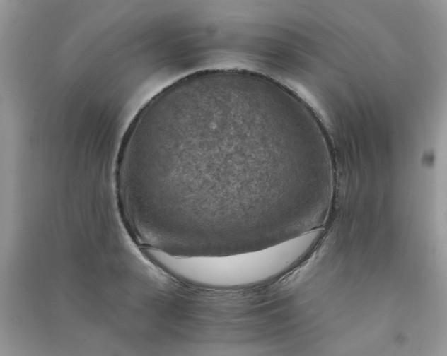 X0000091010943200708161955