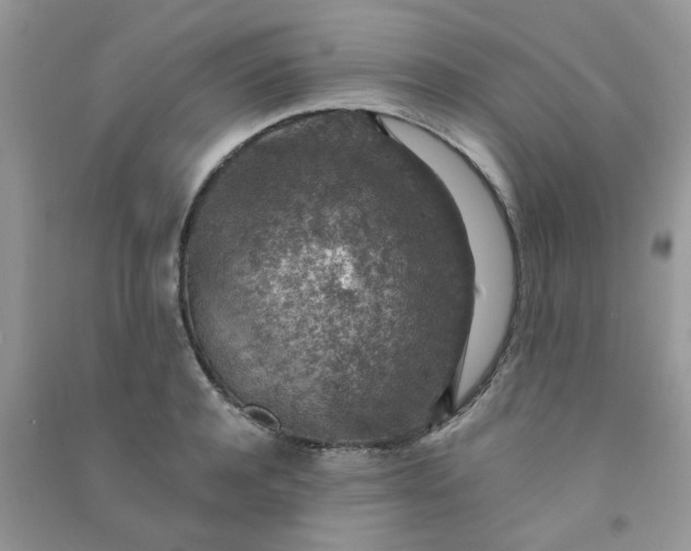 X0000091010944200708161955