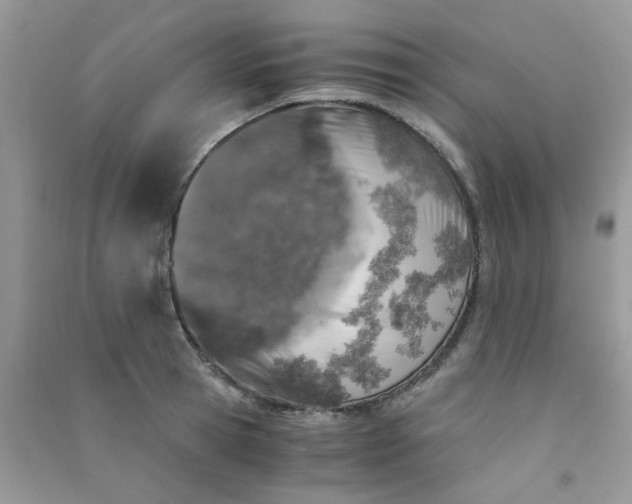 X0000091010945200708161955