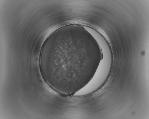 X0000091010946200708161955