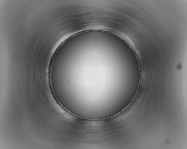 X0000091010947200708161955