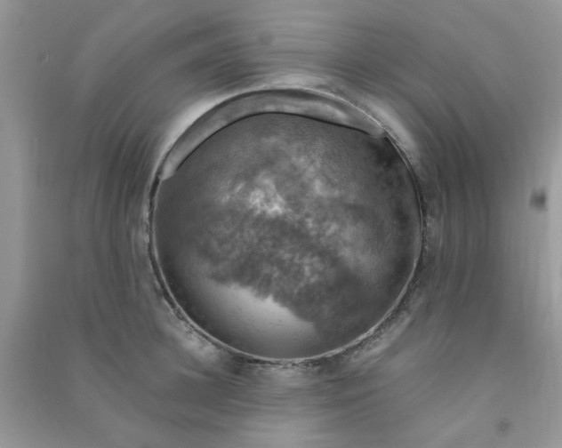 X0000091010948200708161955