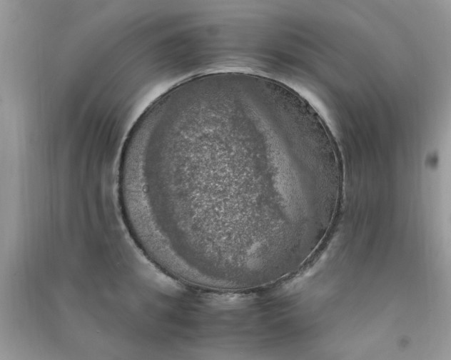 X0000091010949200708161955