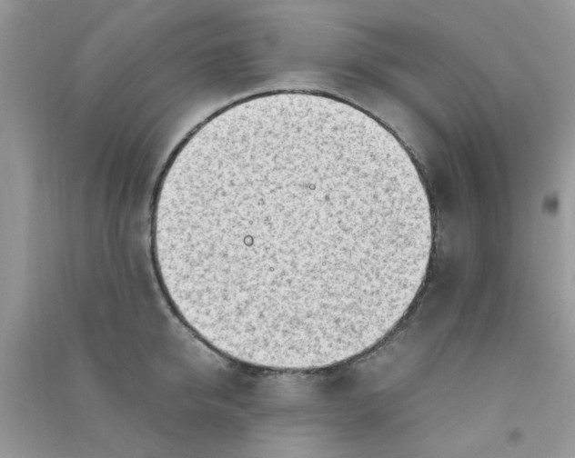 X0000091010950200708161956