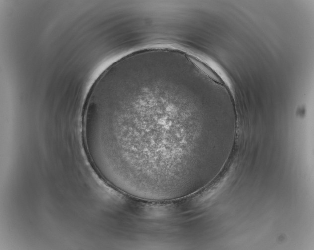 X0000091010951200708161956