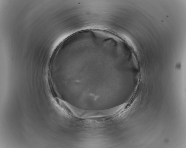 X0000091010952200708161956