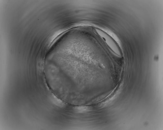 X0000091010953200708161956