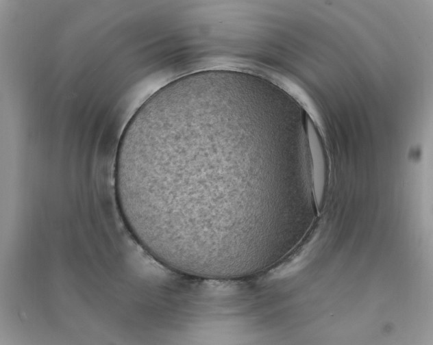 X0000091010954200708161956