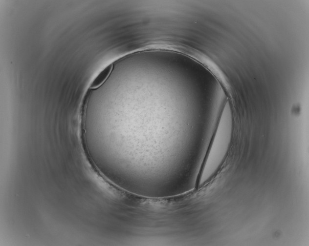 X0000091010955200708161956