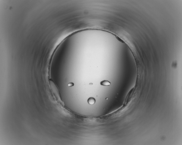 X0000091010956200708161956