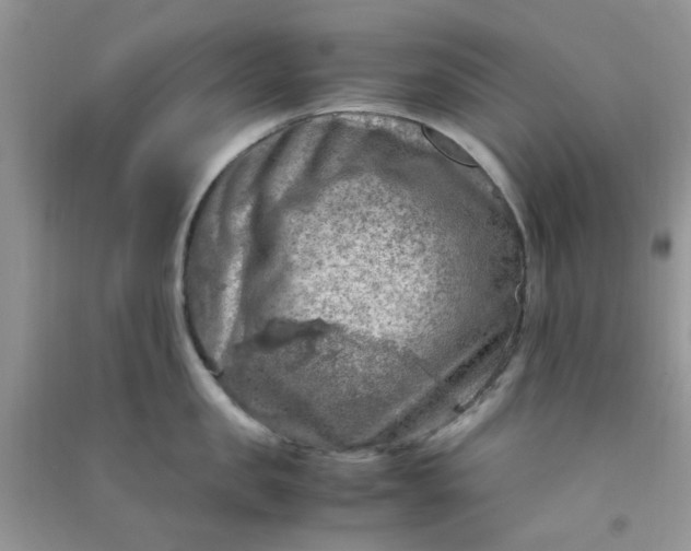 X0000091010957200708161956