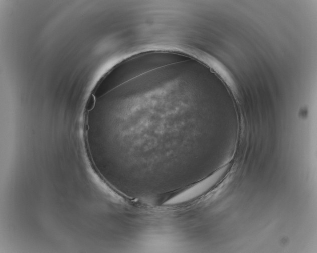 X0000091010958200708161956