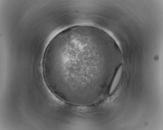 X0000091010959200708161956