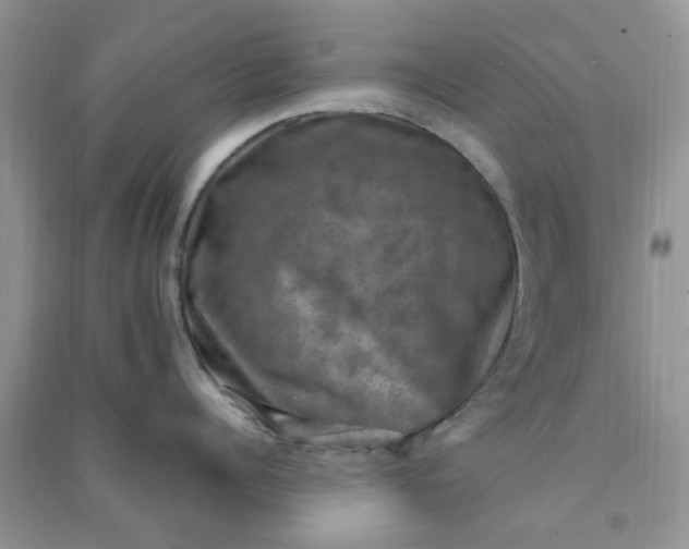 X0000091010960200708161956