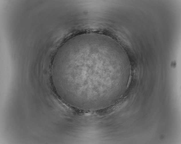 X0000091010961200708161955