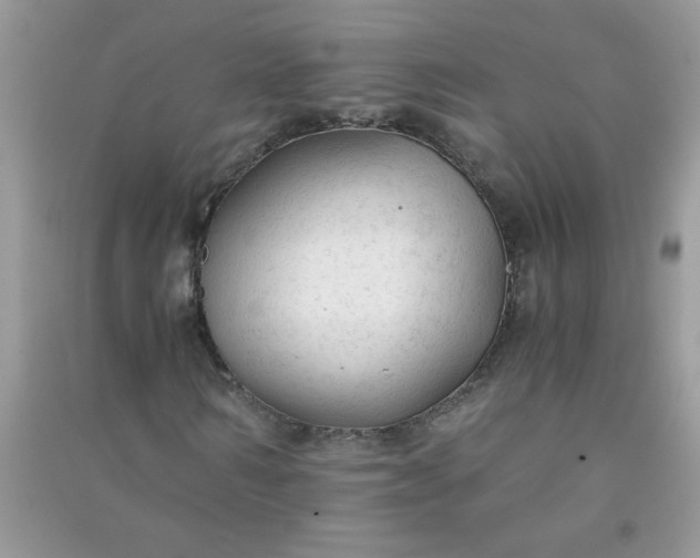 X0000091010962200708161955