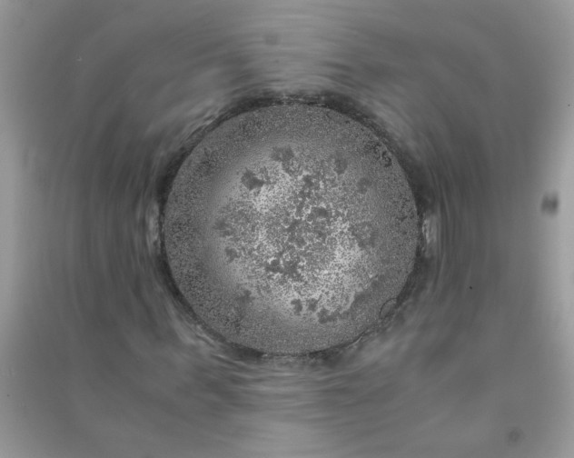 X0000091010963200708161955