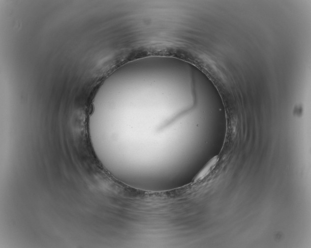 X0000091010964200708161955