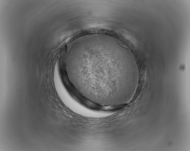 X0000091010965200708161955