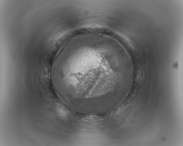 X0000091010966200708161955