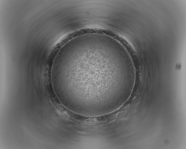 X0000091010968200708161955