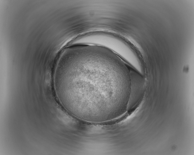 X0000091010969200708161955