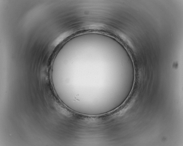 X0000091010970200708161955